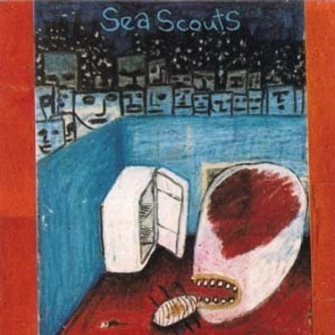 Sea Scouts - Pattern Recognition