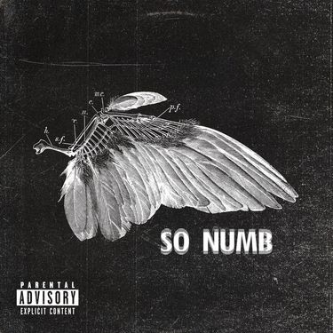 TX2 - So Numb