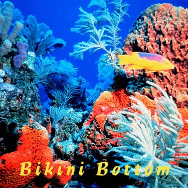 Worthikids - Bikini Bottom