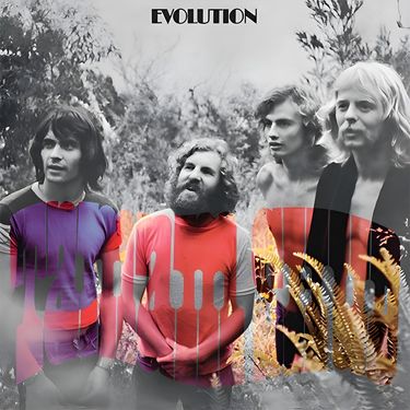 Tamam Shud - Evolution