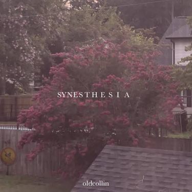 old collin - synesthesia