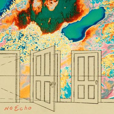 Orchid Mantis - No Echo