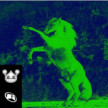 GOLEMM & BUGCORE - DONKEY STOMP