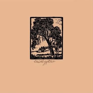 Various Artists - Eucalyptus
