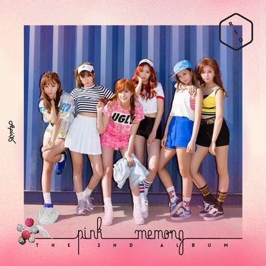 에이핑크 [Apink] - Pink MEMORY