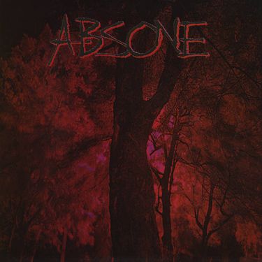Absone - Absone & Decontaminate Split