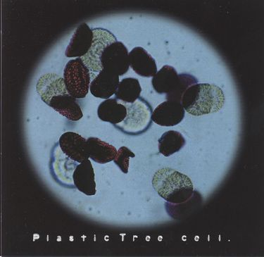 Plastic Tree - Cell