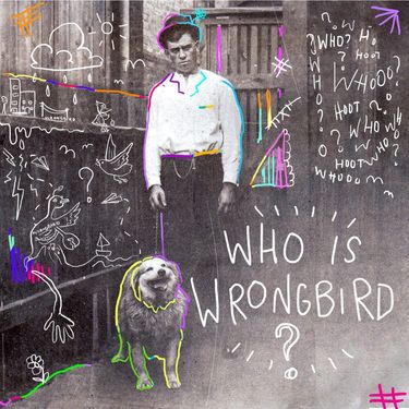 Wrongbird - Who is Wrongbird?