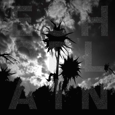 Echoplain - In bones