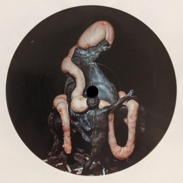 Heith & Weightausend - Stone Lizard