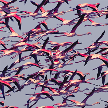 Deftones - Phantom Bride