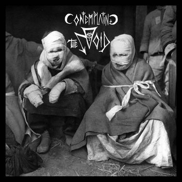 Contemplating The Void - Contemplating the Void