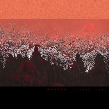 Stereo Type - Split