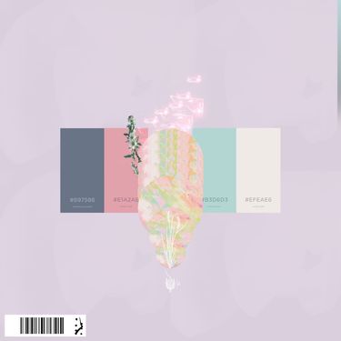 Script - juhong