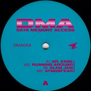 Data Memory Access - Dataverse