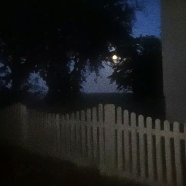 daniel.mp3 - blurred moon