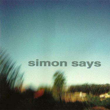 Simon Says - Perfect Example