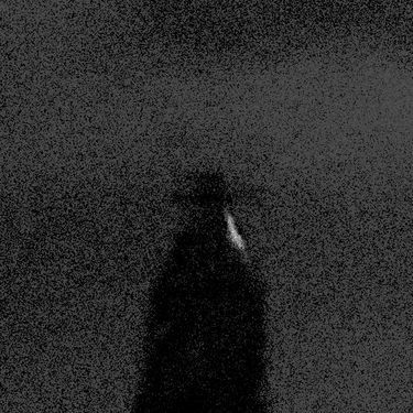 pinecrest - shadow