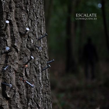 Escalate - Consequences