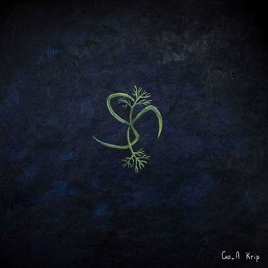 Go_A - Krip
