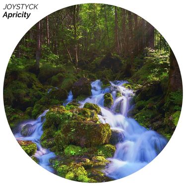 JOYSTYCK - Apricity