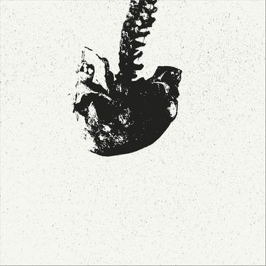 Tasteofink. & Circuit Circuit - Split
