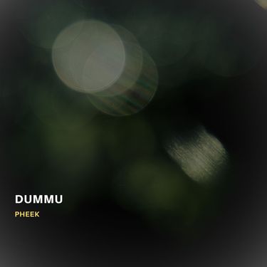 Pheek - Dummu