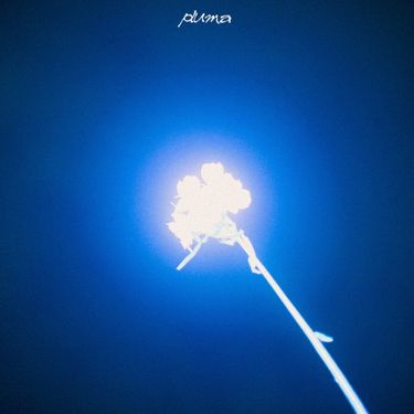 PLUMA - Corrida