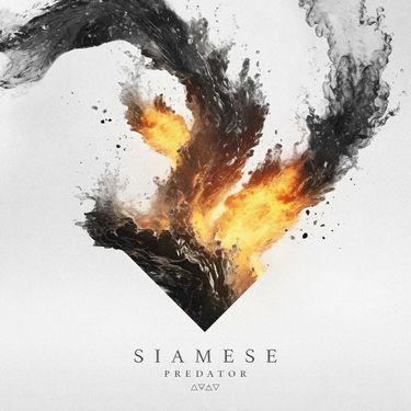 Siamese - Predator