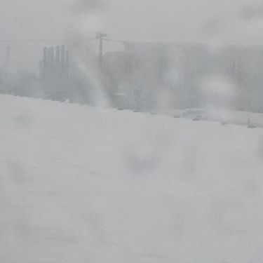 rooksfeather - down