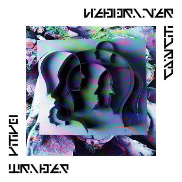 Webdriver Torso - Data Tribes