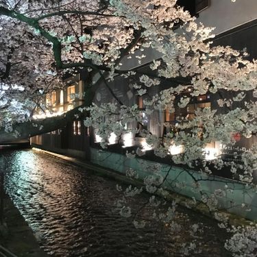 9smjay - inuyama
