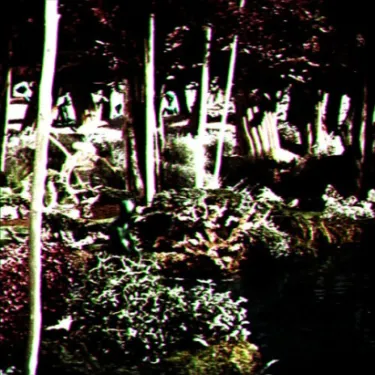 Brey - Alien Forest