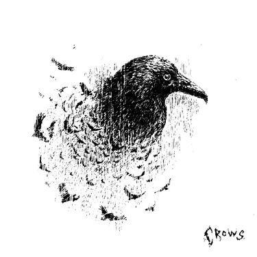 rouri404 - crows