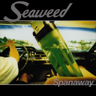 Seaweed - Spanaway
