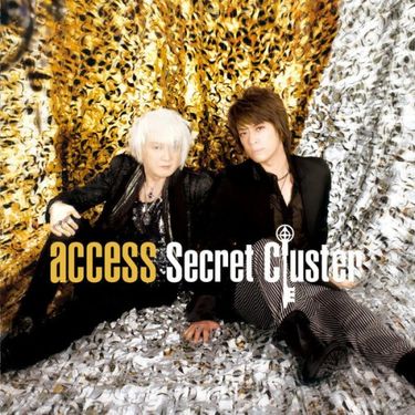 Access - Secret Cluster