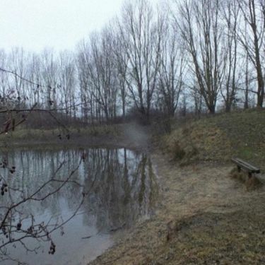 Freight - Swamp
