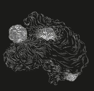 Quartab&ecirc; - Repescagem