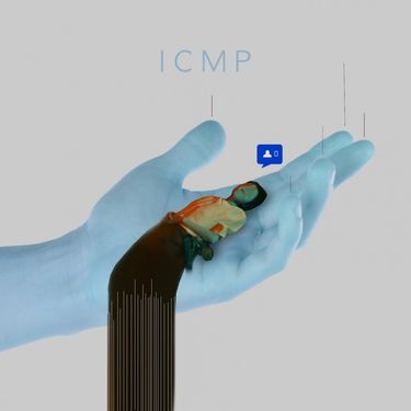 STED.D - ICMP