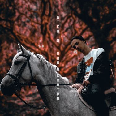 STED.D - Иди и смотри