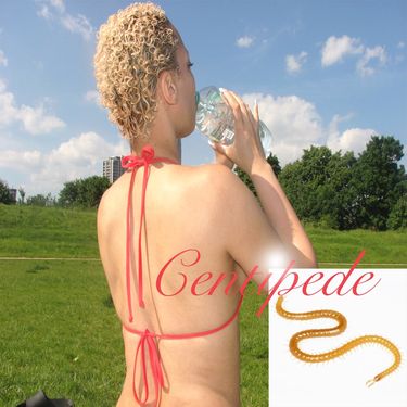 chi - Centipede