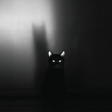SIAMES - Melodramatic