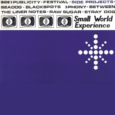 Small World Experience - Side Projects