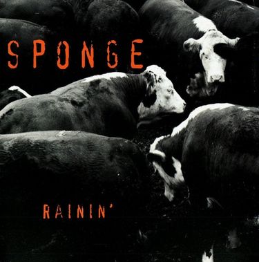 Sponge - Rainin'