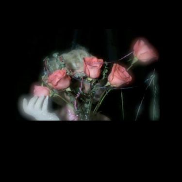 Profligate - Videotape