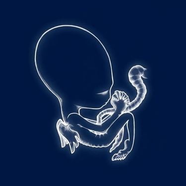 Sigur R&oacute;s - &Aacute;g&aelig;tis byrjun
