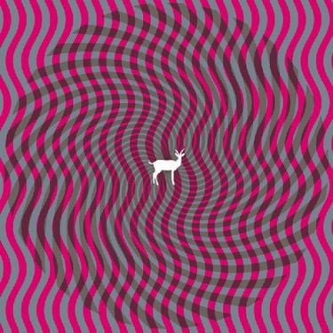 Deerhunter - Cryptograms