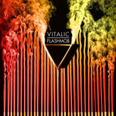 Vitalic - Flashmob