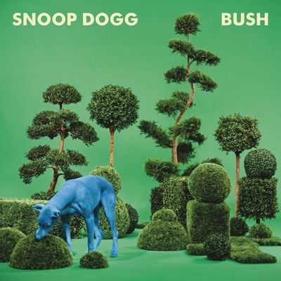 Snoop Dogg - Bush review by xaviersaturn - Album of The …