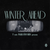 V & 박효신 [Park Hyo Shin] - Winter Ahead
